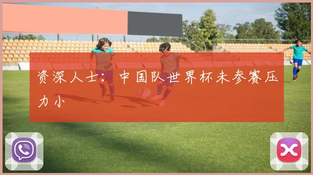 资深人士：中国队世界杯未参赛压力小